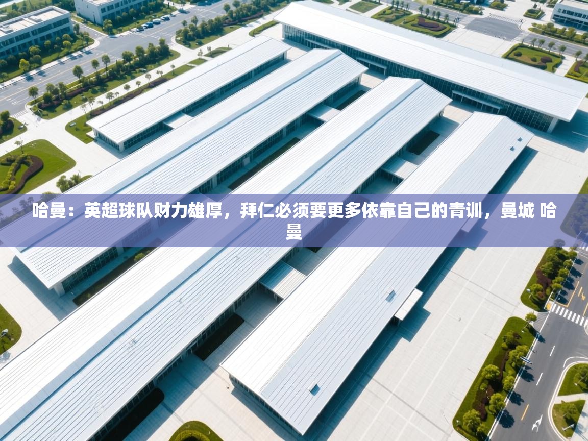 爱游戏体育赛事-哈曼：英超球队财力雄厚，拜仁必须要更多依靠自己的青训，曼城 哈曼  第2张