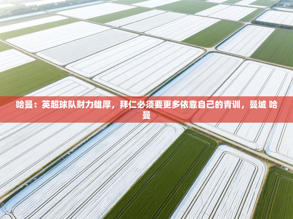 爱游戏体育赛事-哈曼：英超球队财力雄厚，拜仁必须要更多依靠自己的青训，曼城 哈曼  第4张
