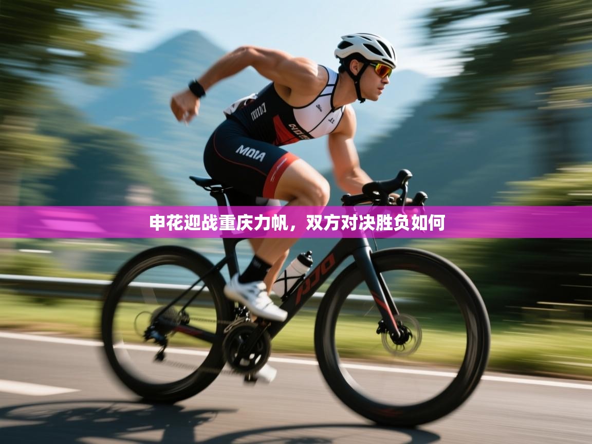 欢娱游戏平台-申花迎战重庆力帆，双方对决胜负如何  第3张