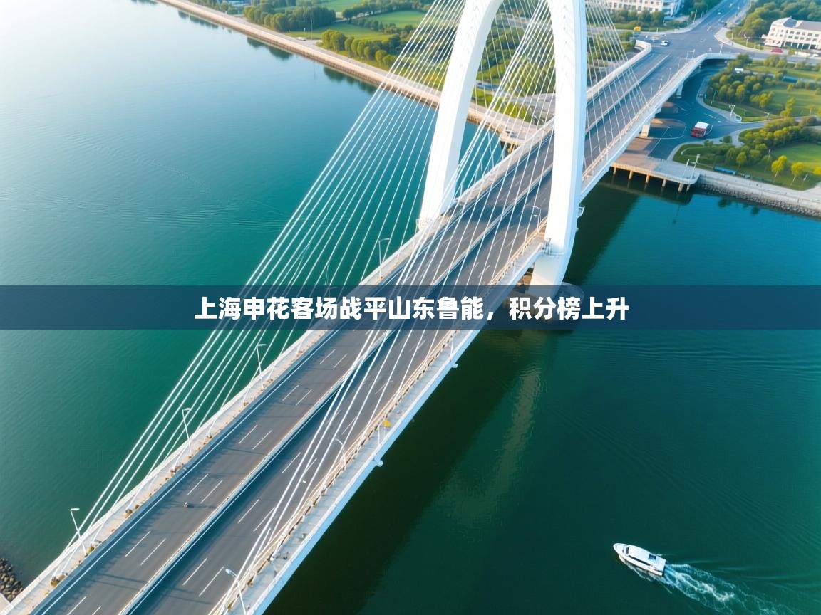 爱游体育直播app-上海申花客场战平山东鲁能，积分榜上升  第1张