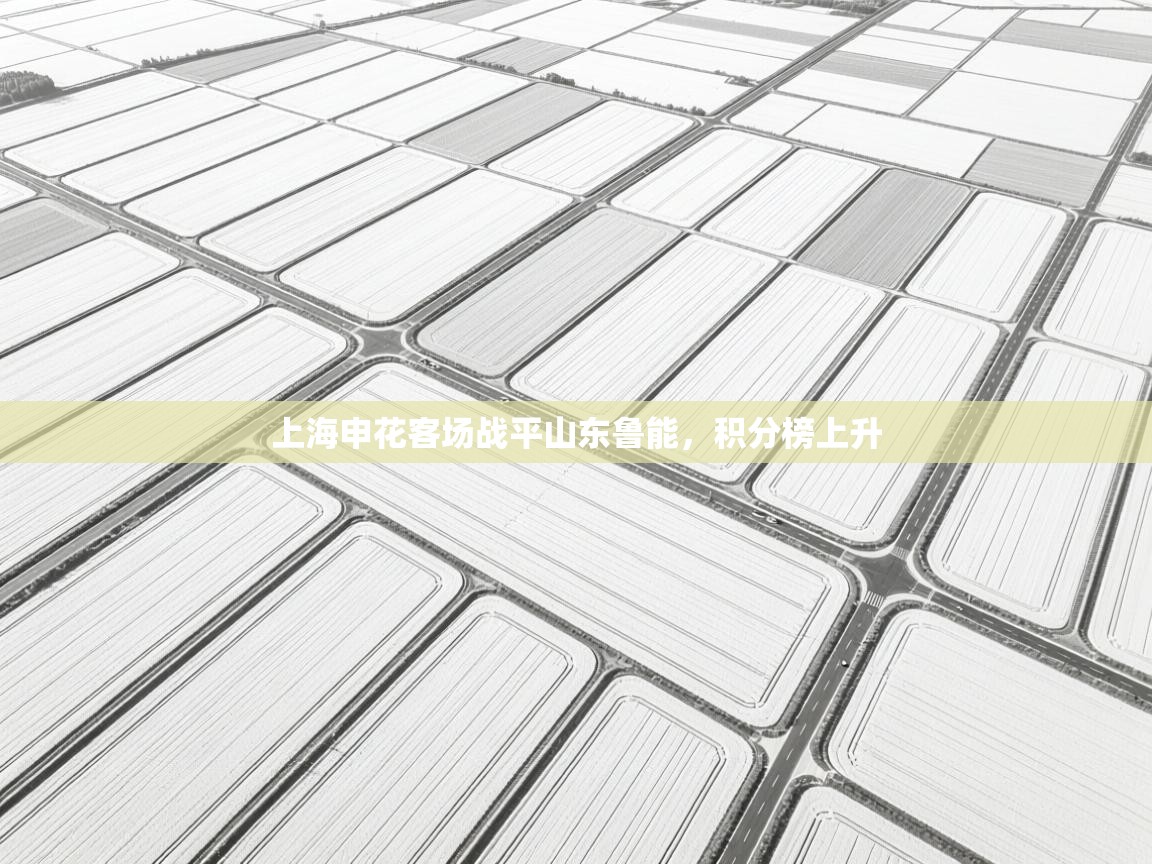 爱游体育直播app-上海申花客场战平山东鲁能，积分榜上升  第2张