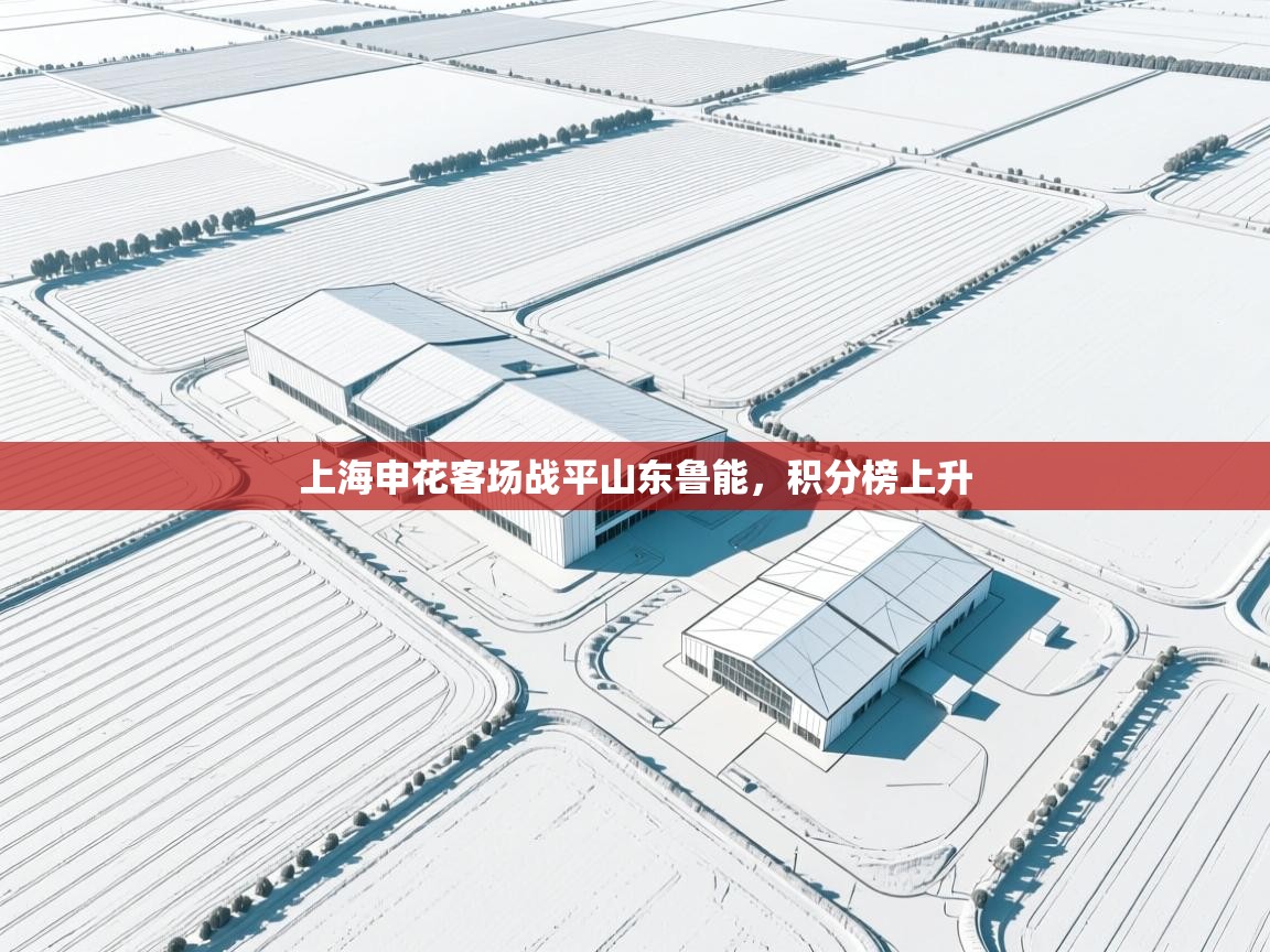 爱游体育直播app-上海申花客场战平山东鲁能，积分榜上升  第3张