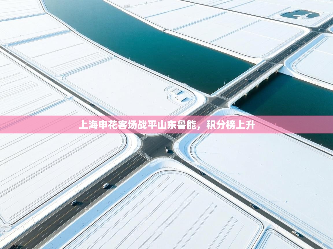 爱游体育直播app-上海申花客场战平山东鲁能，积分榜上升  第4张