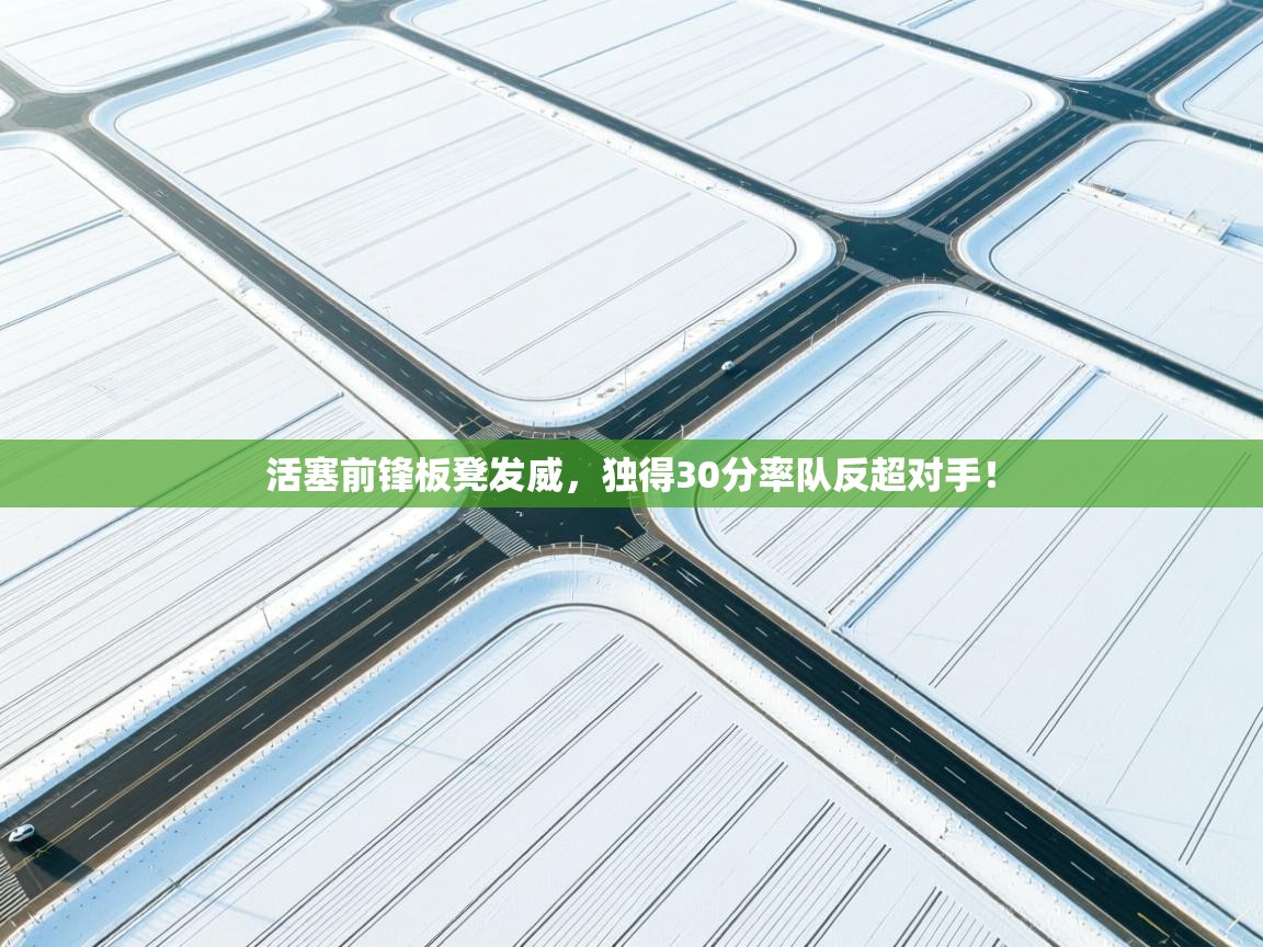 爱游戏体育娱乐-活塞前锋板凳发威，独得30分率队反超对手！  第3张