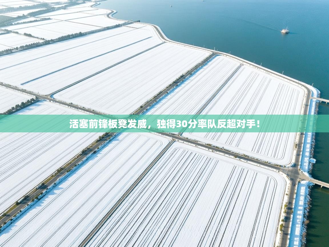 爱游戏体育娱乐-活塞前锋板凳发威，独得30分率队反超对手！  第4张