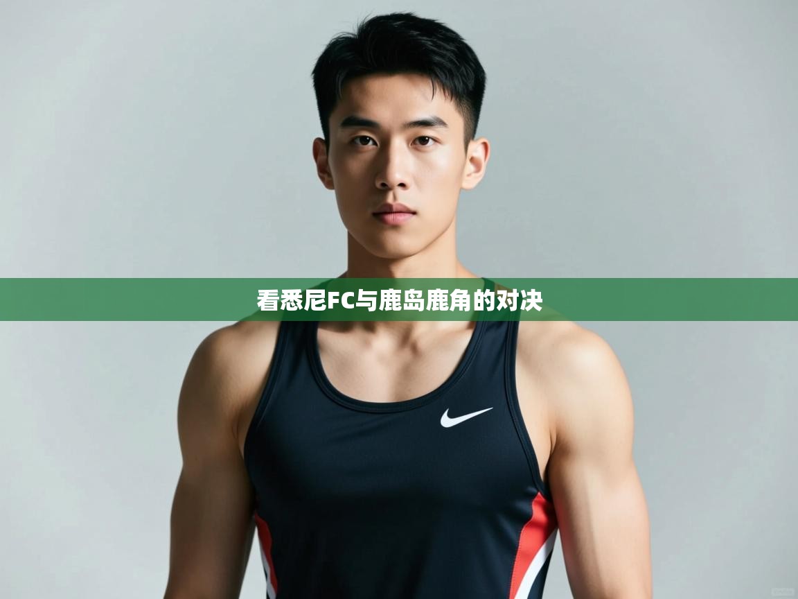 爱游戏娱乐网址-看悉尼FC与鹿岛鹿角的对决  第3张