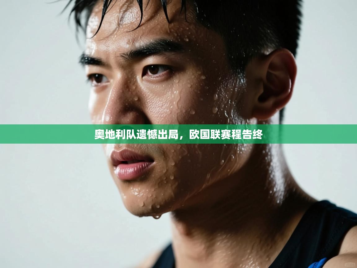 爱游戏体育在线-奥地利队遗憾出局，欧国联赛程告终  第3张