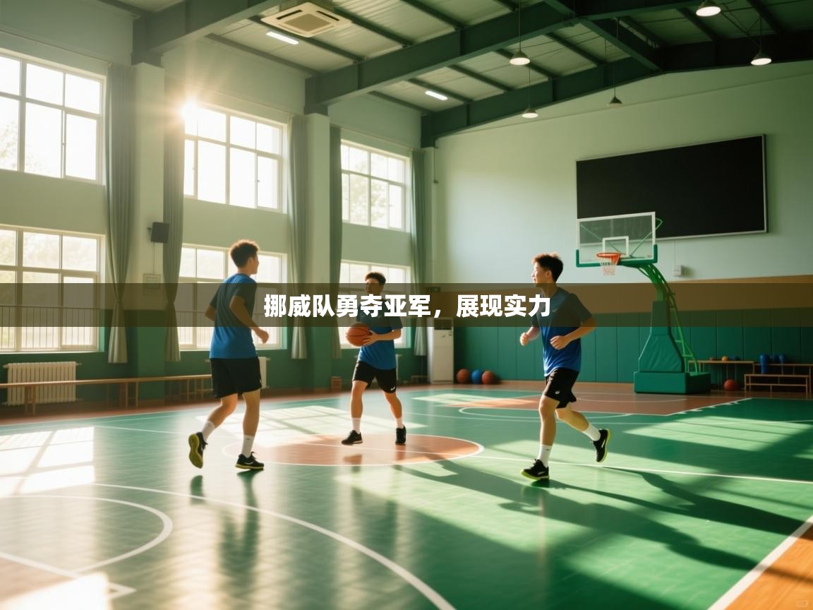 爱游体育直播-挪威队勇夺亚军，展现实力  第4张