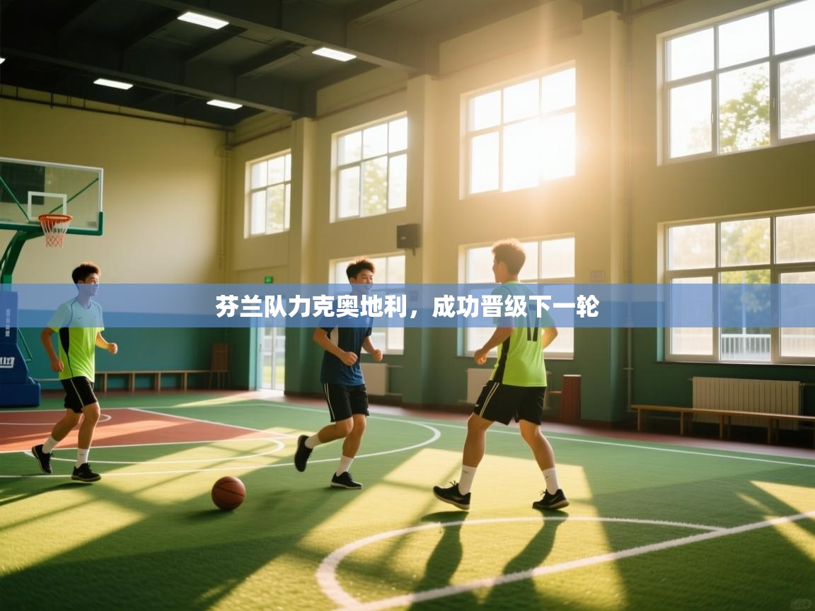 爱游戏娱乐app下载-芬兰队力克奥地利，成功晋级下一轮  第3张