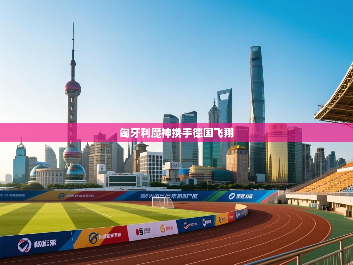 爱游戏体育赛事-匈牙利魔神携手德国飞翔  第1张