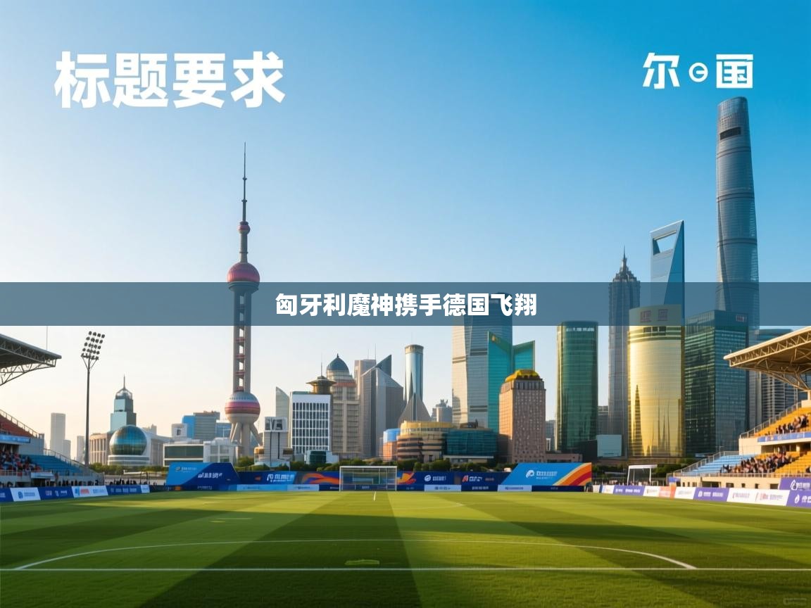 爱游戏体育赛事-匈牙利魔神携手德国飞翔  第2张