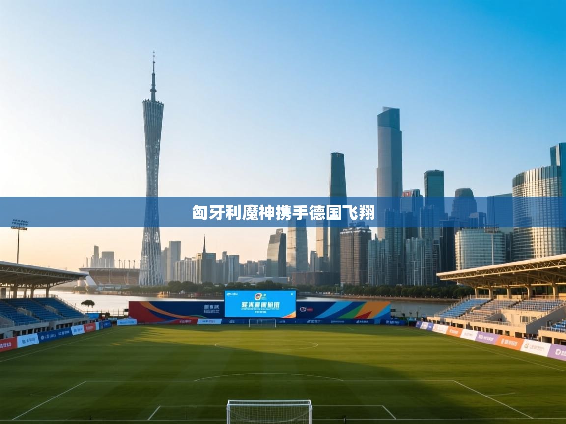 爱游戏体育赛事-匈牙利魔神携手德国飞翔  第3张