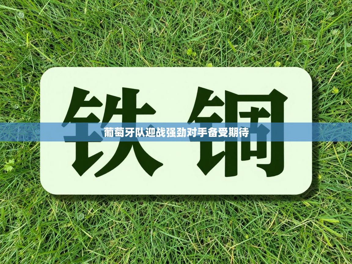 爱游戏娱乐体育官方入口-葡萄牙队迎战强劲对手备受期待  第2张